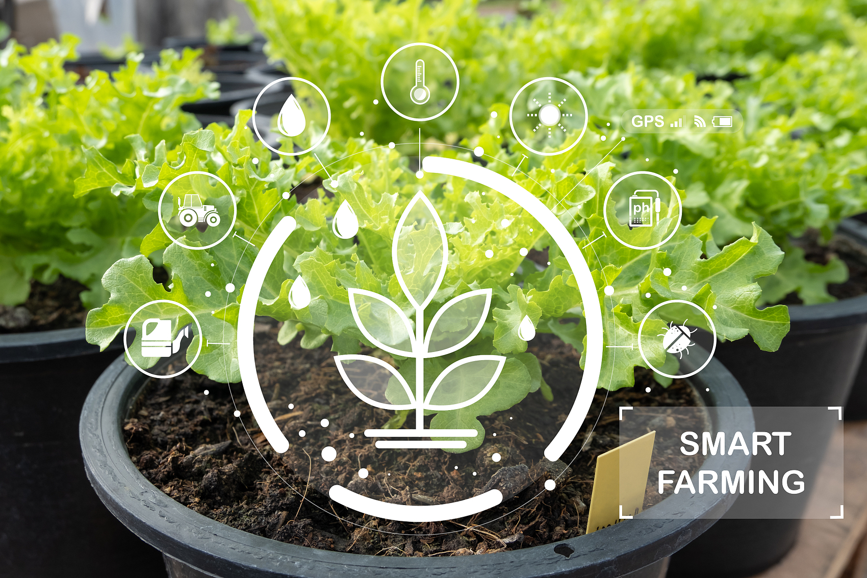 Smart Agriculture Solutions