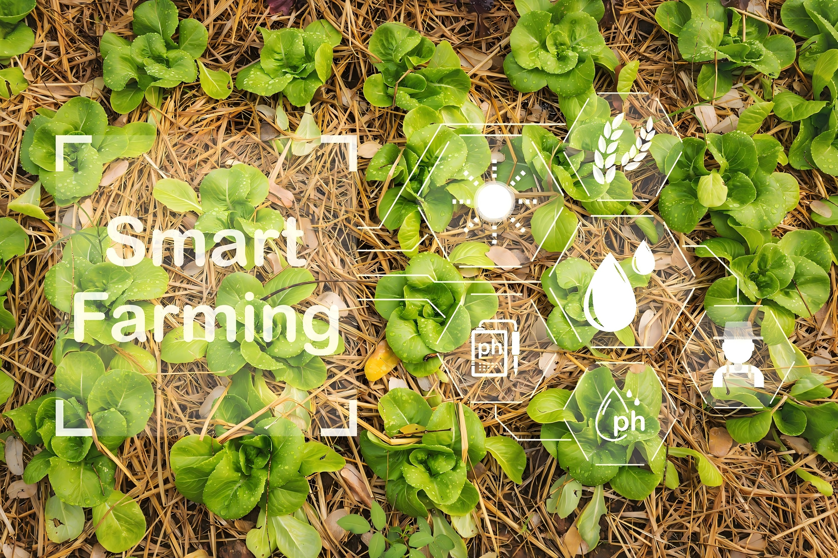 Smart Agriculture Solutions