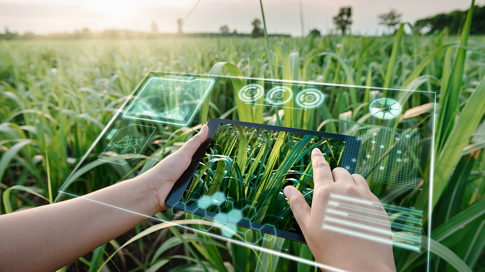 Smart Agriculture.png
