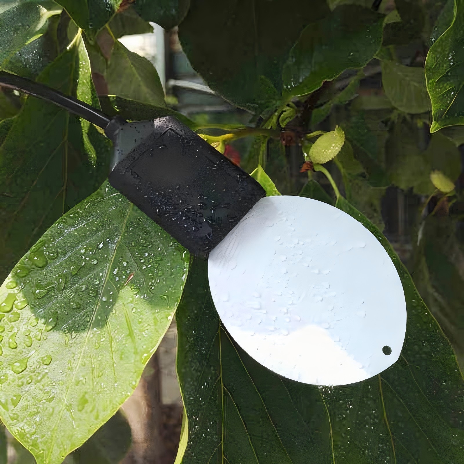 Leaf-Wetness-sensor4.jpg