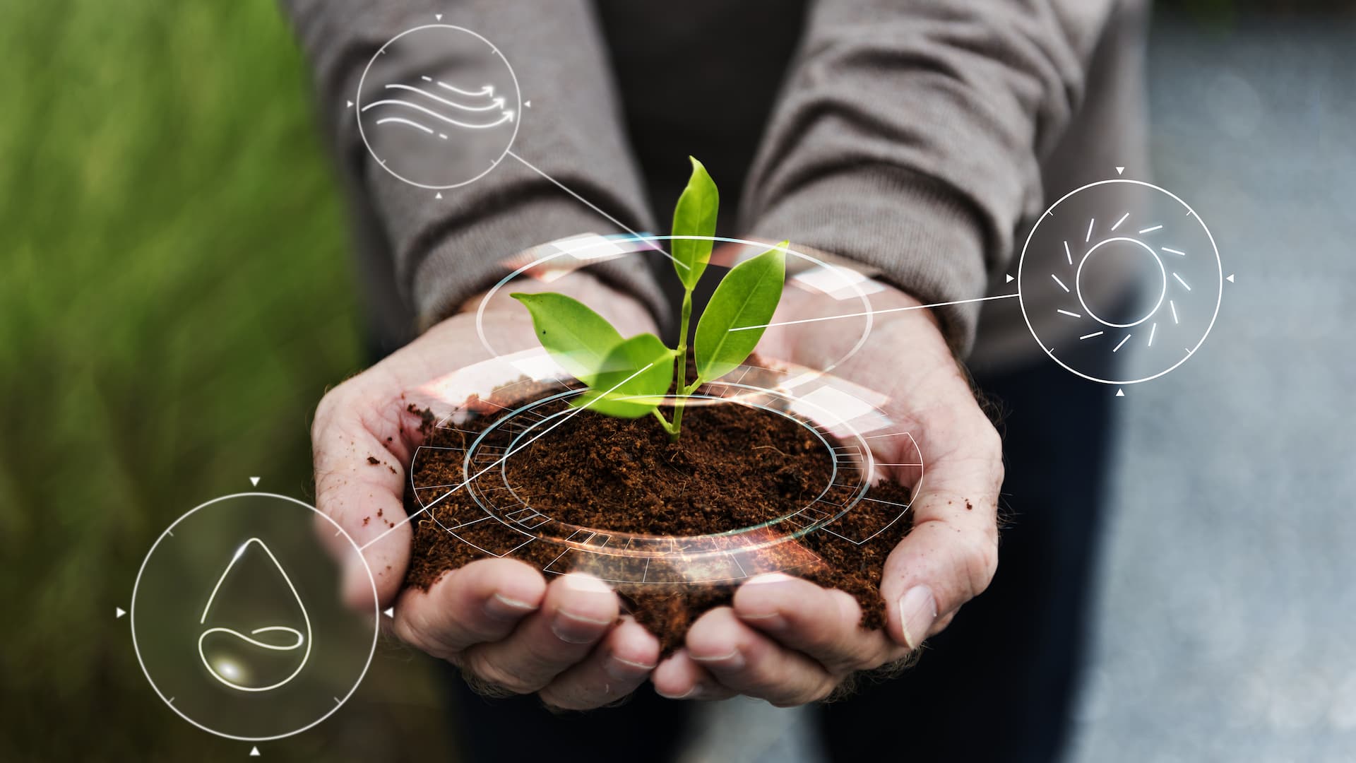 smart-farming-smart-agriculture-iot.jpg