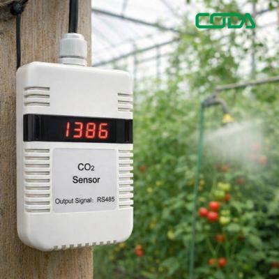 ​Why CO₂ Monitoring Is Essential for Smart Greenhouse Farming